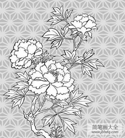 牡丹花朵简笔画 美丽的花朵简笔画