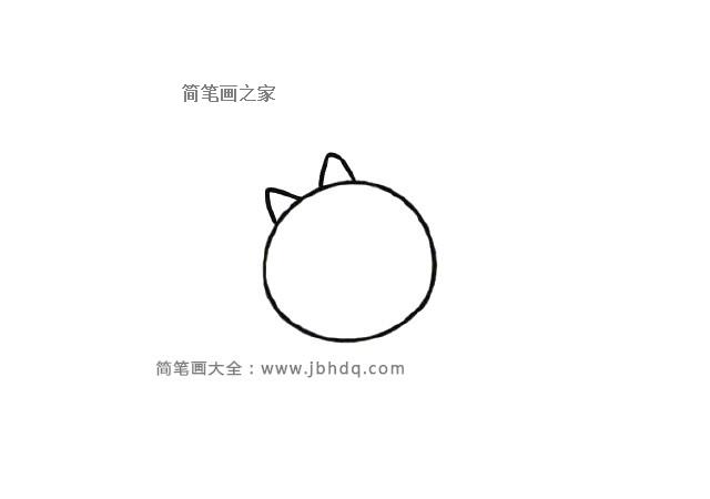 小猫凯迪简笔画