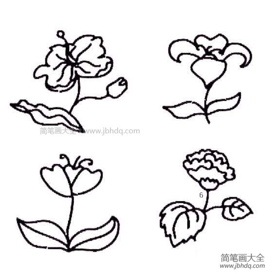 简笔画花朵大全图片