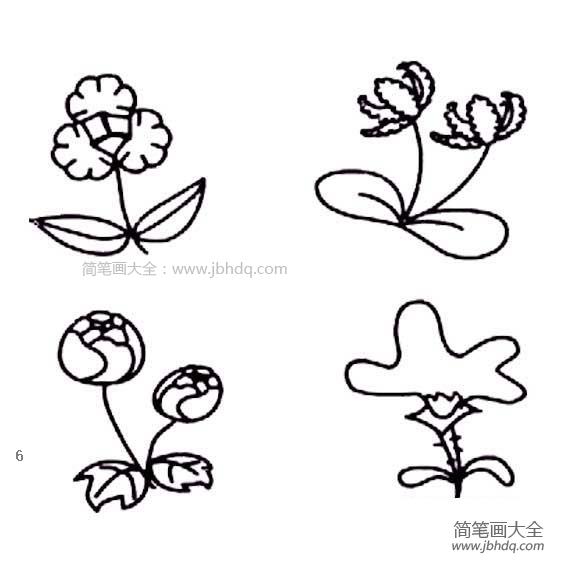 各种花朵简笔画图片大全