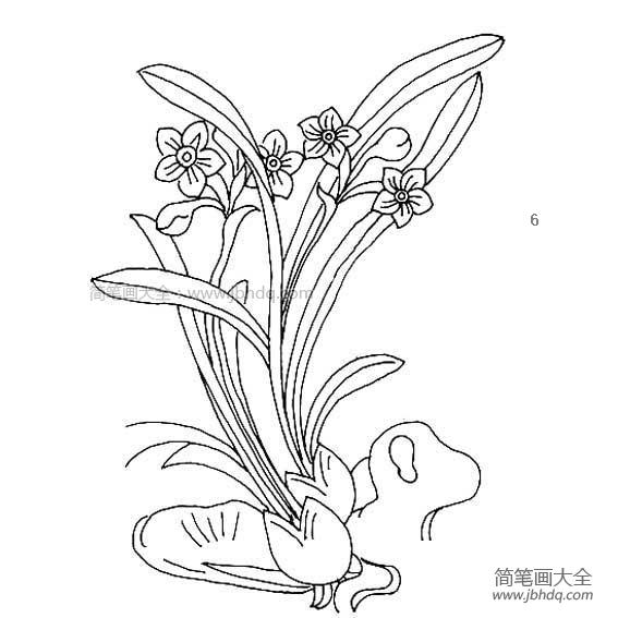 水仙花的简笔画怎么画