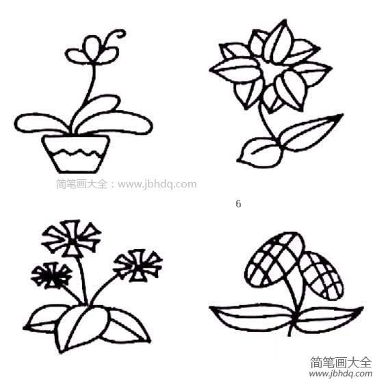 幼儿花朵简笔画图片大全