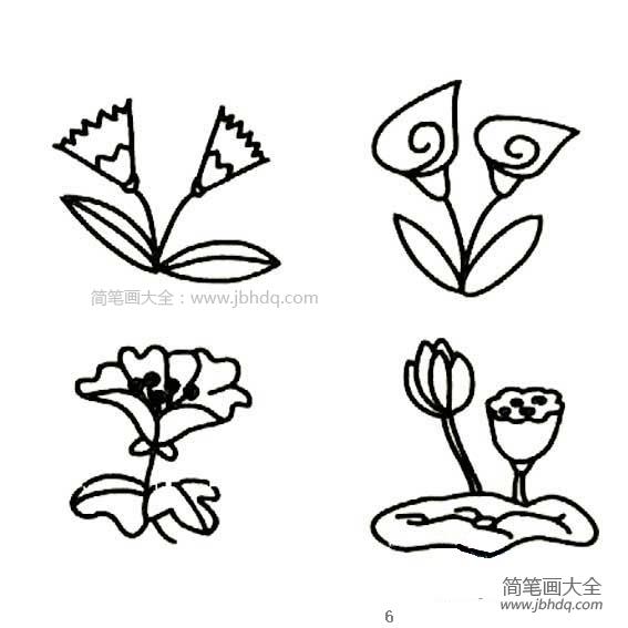 各种花的画法简笔画