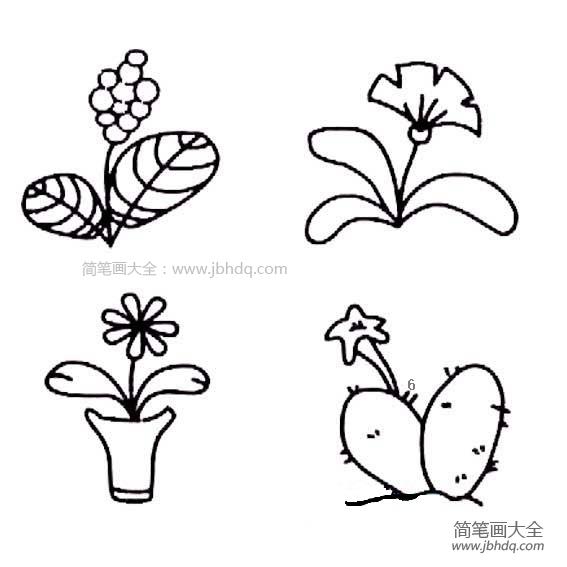 花朵简笔画图片大全