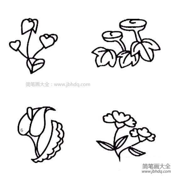 简笔画图片花朵图片