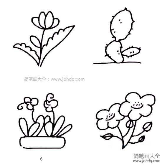 花朵简笔画图片大全