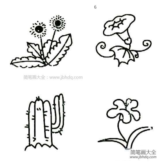 花卉简笔画图片大全大图 黑白