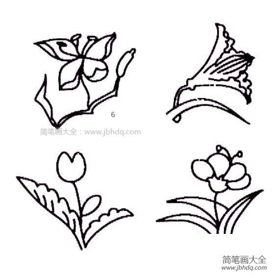 简笔画花朵大全图片