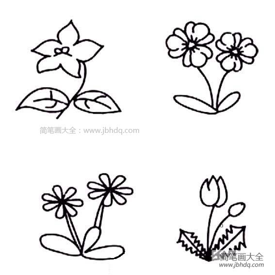 幼儿花朵简笔画图片大全