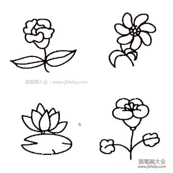 花朵简笔画图片大全 彩色 可爱