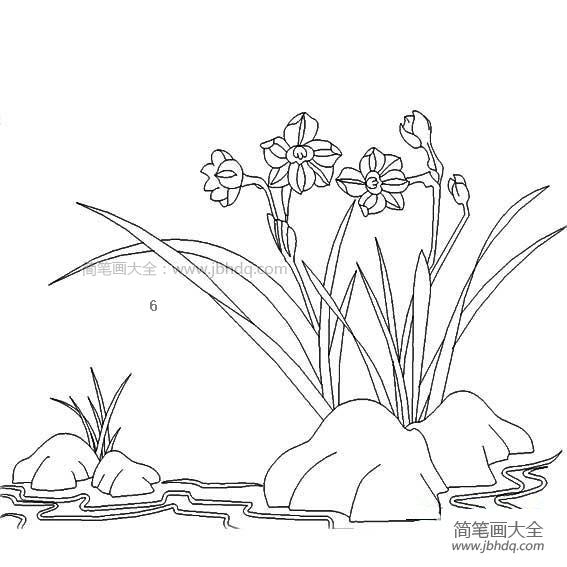 水仙花的简笔画怎么画