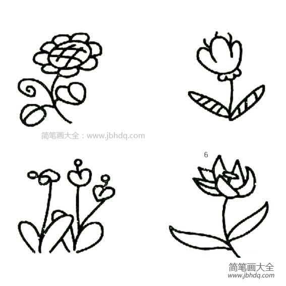 花卉简笔画图片大全大图 黑白