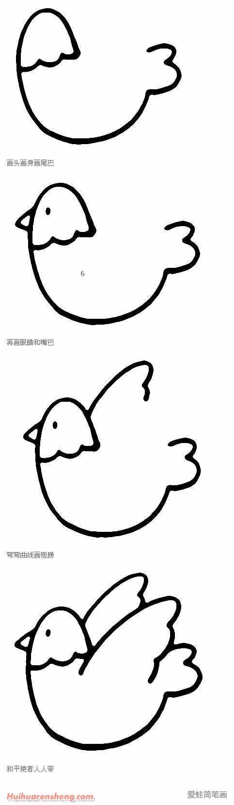 鸽子简笔画 卡通版