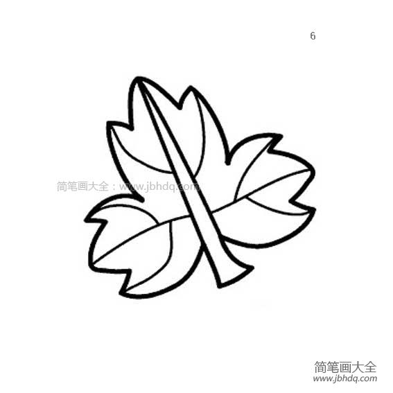 树叶简笔画 一片叶子