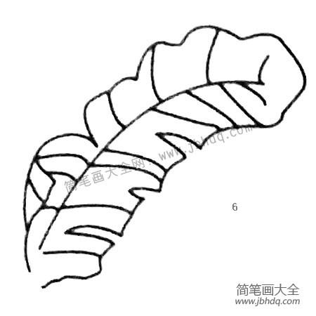 芭蕉树树叶简笔画图片大全