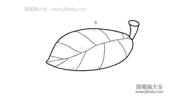 树叶简笔画图片