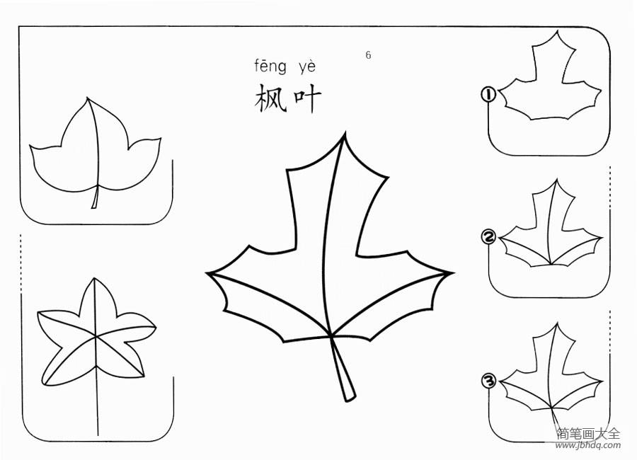 枫叶的简笔画步骤图解