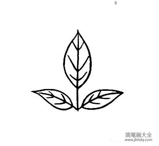 简单又漂亮DIY树叶简笔画图片