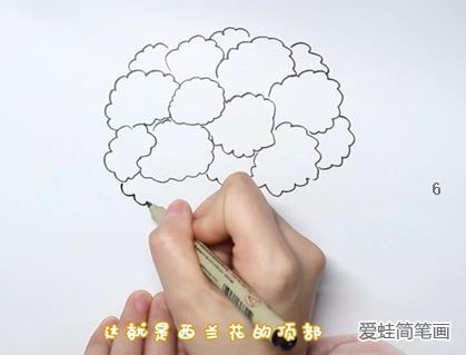 西蓝花简笔画