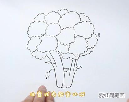 西蓝花简笔画带颜色