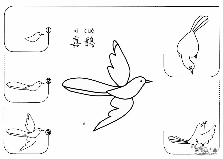 喜鹊怎么画漂亮又简单 一步一步