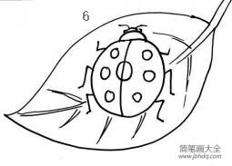 简笔画七星瓢虫抽象化