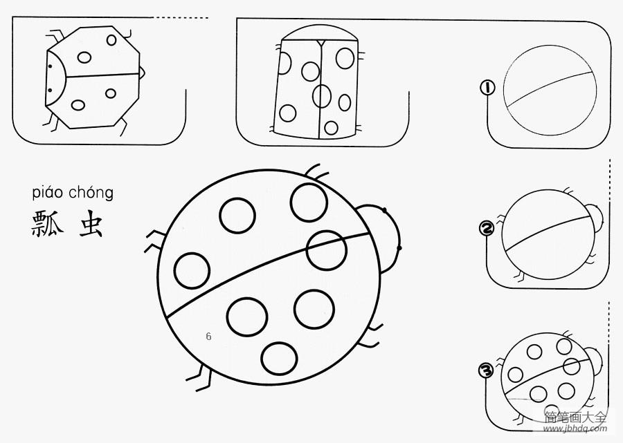 瓢虫怎么画简单又好看