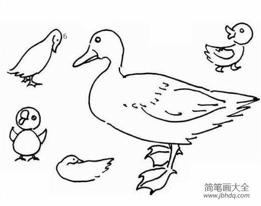 鸭子简笔画大全