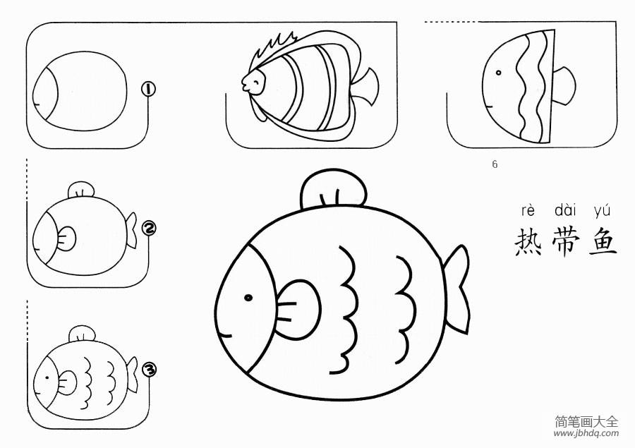 热带鱼怎么画