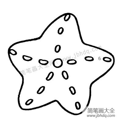 初级简笔画 海星