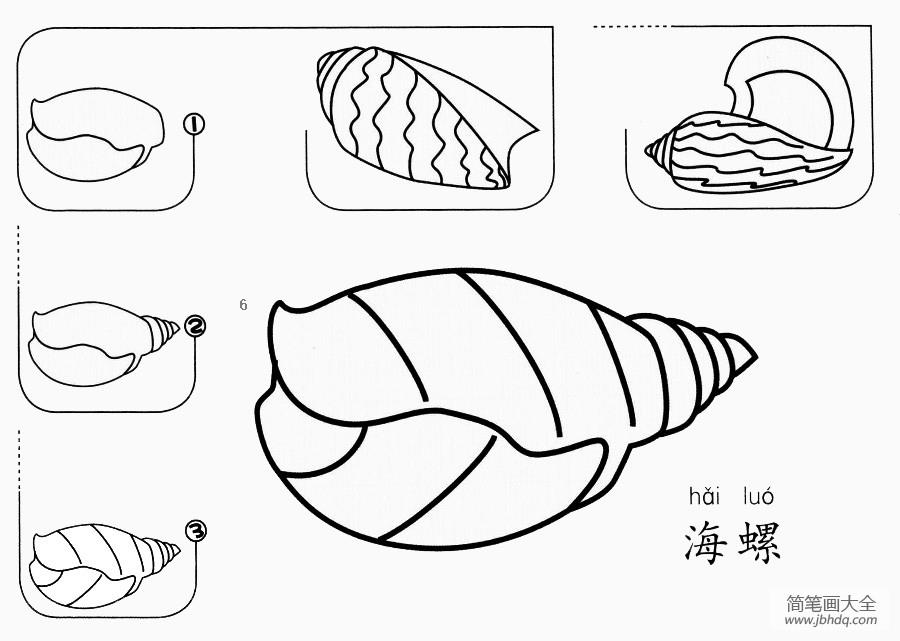 海螺怎么画