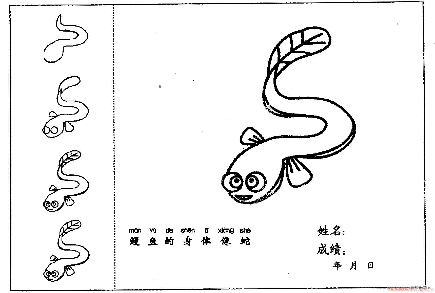 鳗鱼简笔画