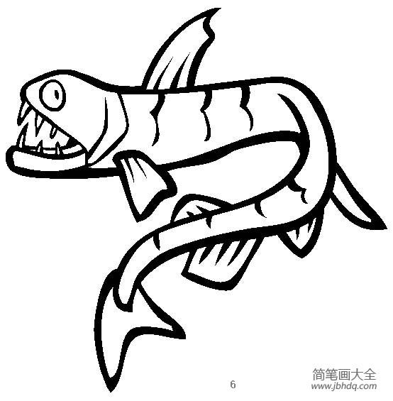 海洋生物图片 蝰鱼简笔画图片