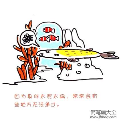 四步画出可爱简笔画 怪怪的左口鱼