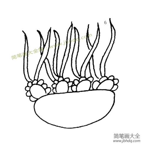 漂亮的水母简笔画图片