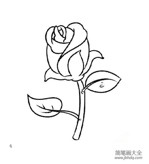 七夕情人节玫瑰花简笔画