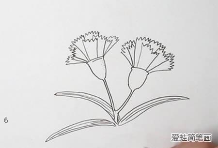 康乃馨简笔画