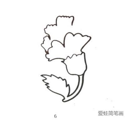 康乃馨简笔画