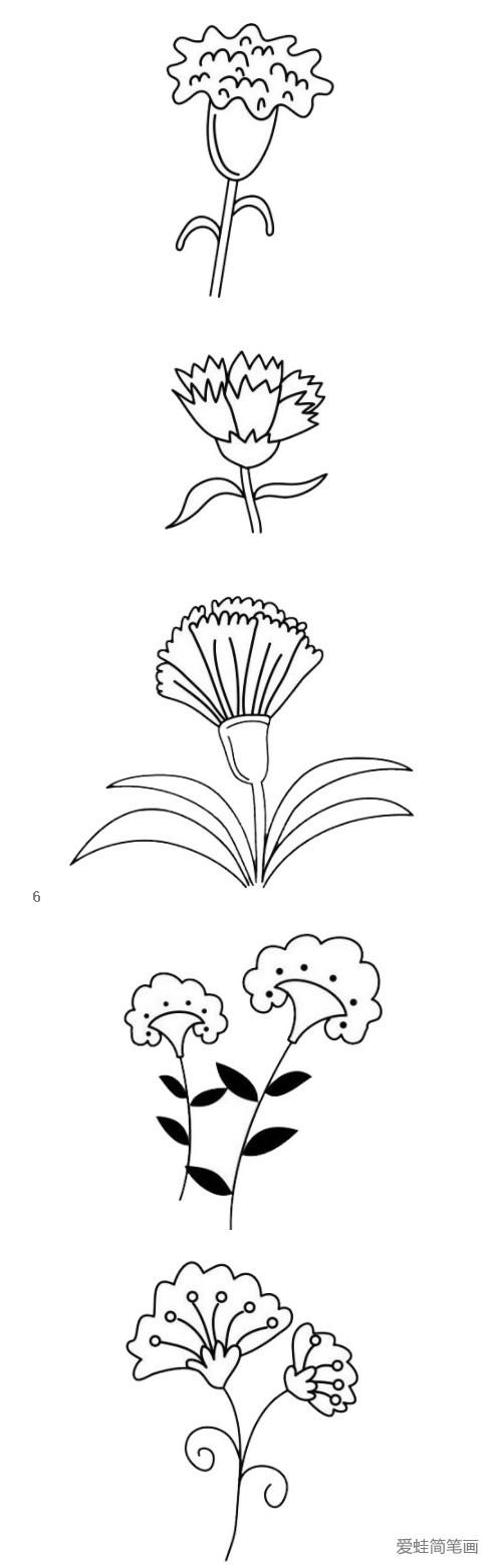 母亲节康乃馨简笔画