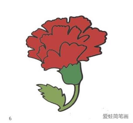 康乃馨简笔画