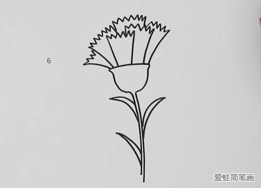 康乃馨怎么画简笔画
