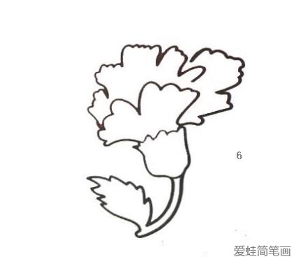 康乃馨简笔画