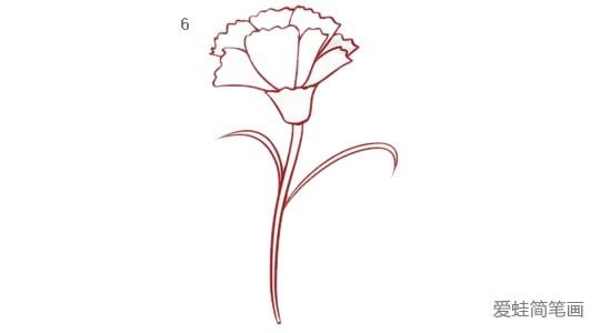 康乃馨简笔画