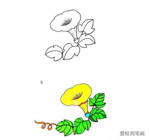 彩色喇叭花简笔画