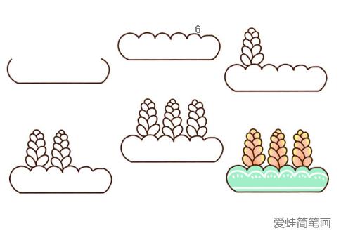 多肉植物简笔画