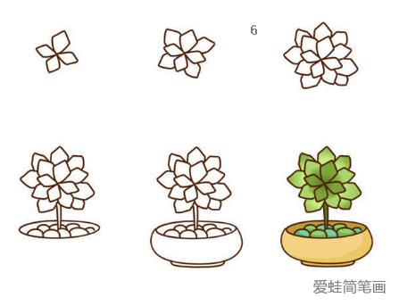 多肉植物简笔画