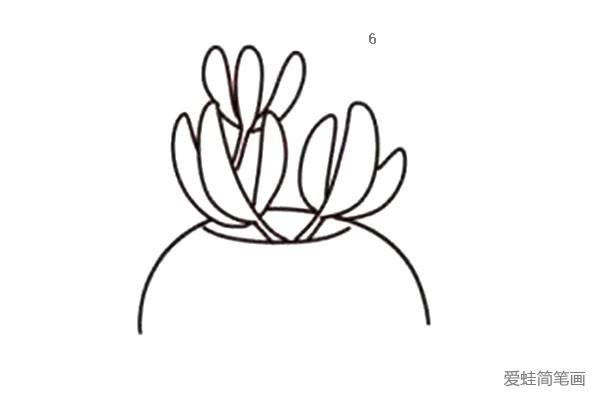 漂亮的多肉植物简笔画6