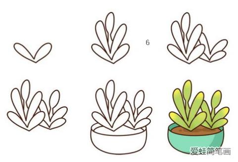 多肉植物简笔画