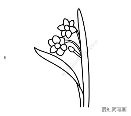 水仙花简笔画