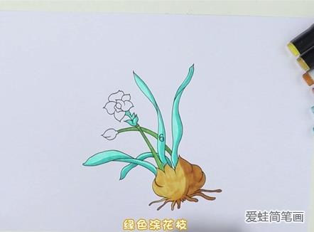 水仙花简笔画